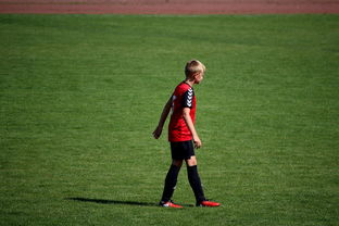 开云体育首页-世界青年滑板锦标赛中国少年夺奖，青少年滑板联赛