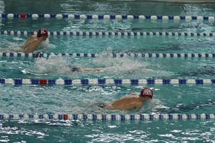 开云官网入口地址-中国游泳运动员世锦赛接力项目表现抢眼，中国游泳接力夺金